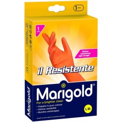 marigold resistente L...