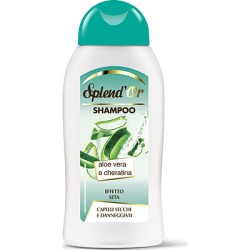 12  PEZZI - SHAMPOO ALOE...