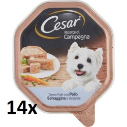 14x CESAR CANE...