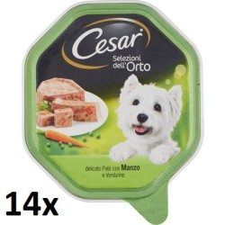 14x CESAR CANE...