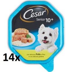 14x CESAR CANE SENIOR10+...