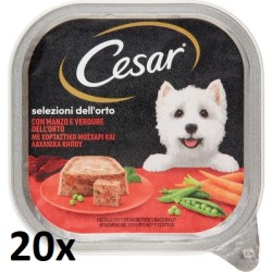 20x CESAR CANE...