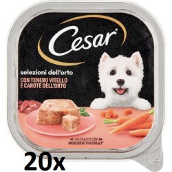 20x CESAR CANE...