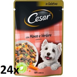 24x CANE DELIZIE...