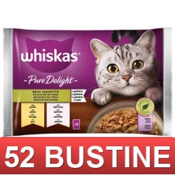 52 BUSTINE - GATTO DELIGHT...