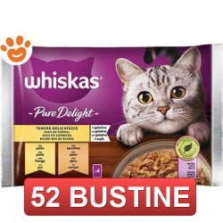 52 BUSTINE - GATTO DELIGHT...