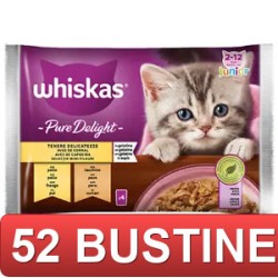 52 BUSTINE - GATTO DELIGHT...