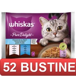 52 BUSTINE - GATTO DELIGHT...