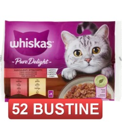 52 BUSTINE - GATTO DELIGHT...